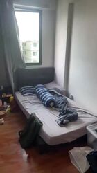 Simei Green Condominium (D18), Condominium #592442981